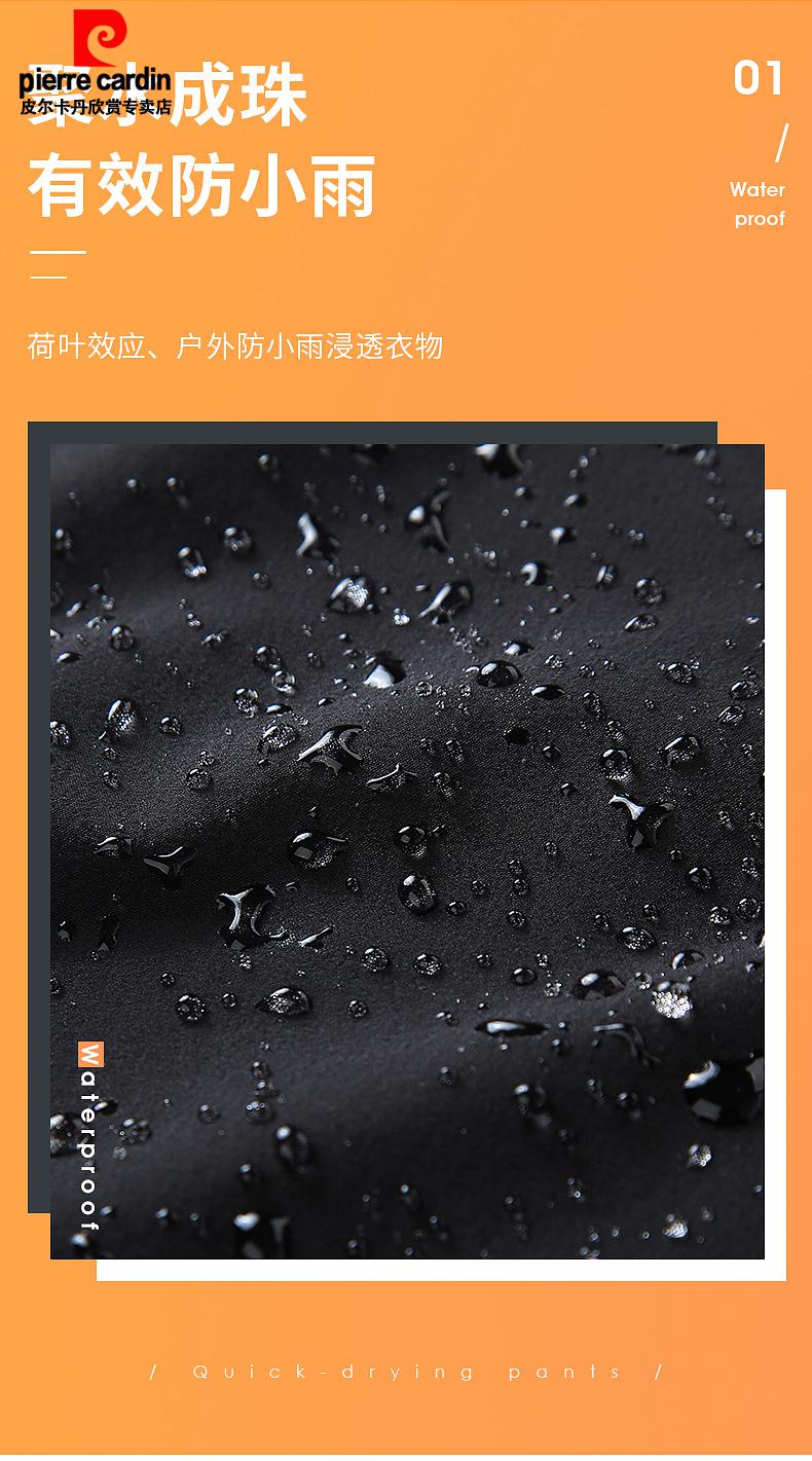 ee77023619a44702.jpg