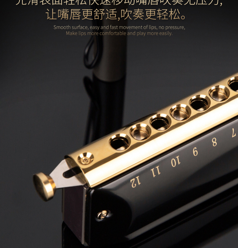 进口音簧国光口琴12孔半音阶国之梦哑光黑十六孔新手初学儿童学生成人