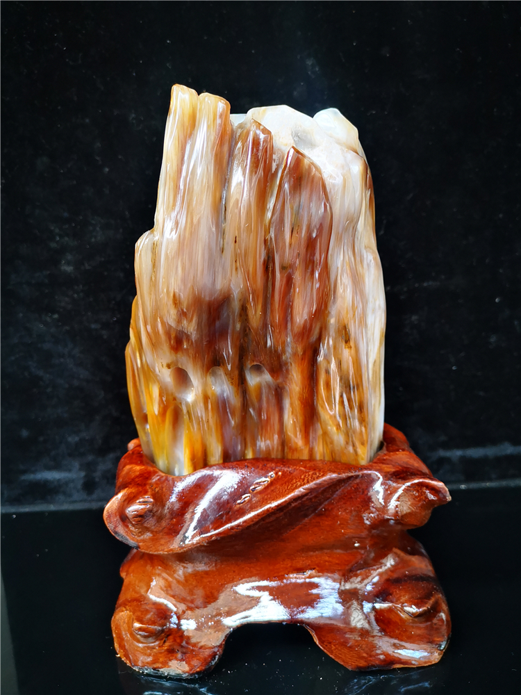 树化玉 玉石天然奇石原石装饰摆件冰种树化玉木化石观赏石景观石石头