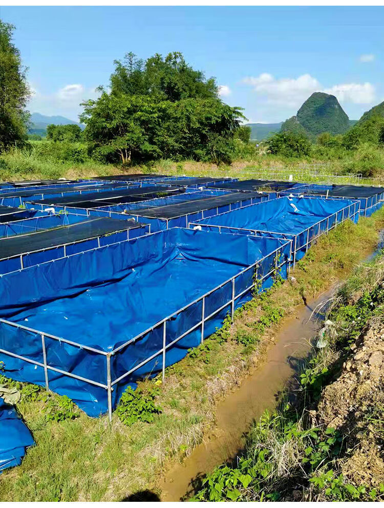 镀锌板帆布鱼池防水布家用养殖水箱刀刮布养鱼帆布蓄水池户外油布