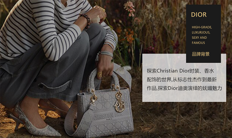 迪奥DIOR BOOK TOTE奶白色多色Dior Zodiac刺绣时尚手提轻便袋购物女包