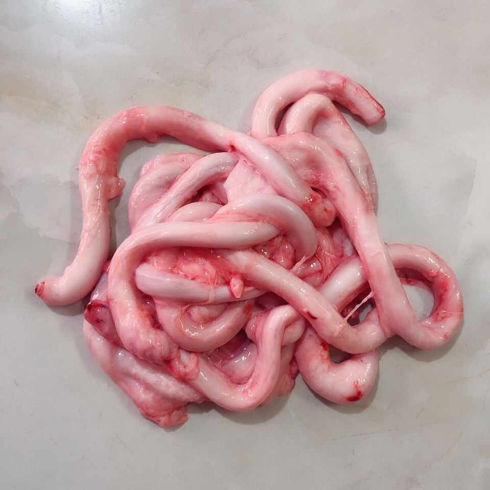 顺丰新鲜猪鞭土猪鞭生鲜猪鞭烧烤食材2斤顺丰