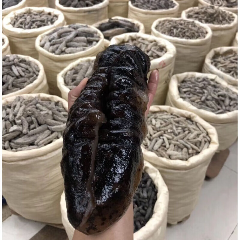 猪婆参干货猪母参 淡干海产品特产500g