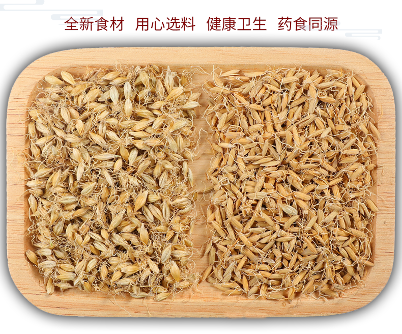 双芽水生麦芽生稻芽儿童积食宝宝麦芽谷芽双牙水20g20