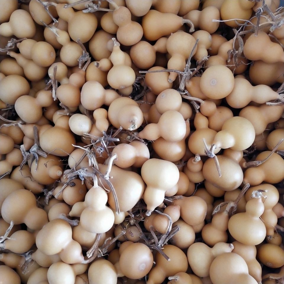 中药材葫芦整个葫芦葫芦壳抽葫芦 500克【图片 价格 品牌 报价】-京东