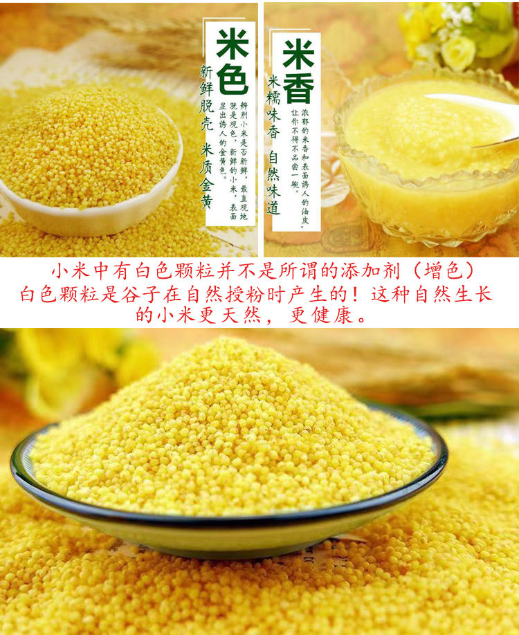 内蒙古赤峰敖汉旗小米黄金苗天然小米粥孕婴杂粮新月子小黄米 优惠5斤