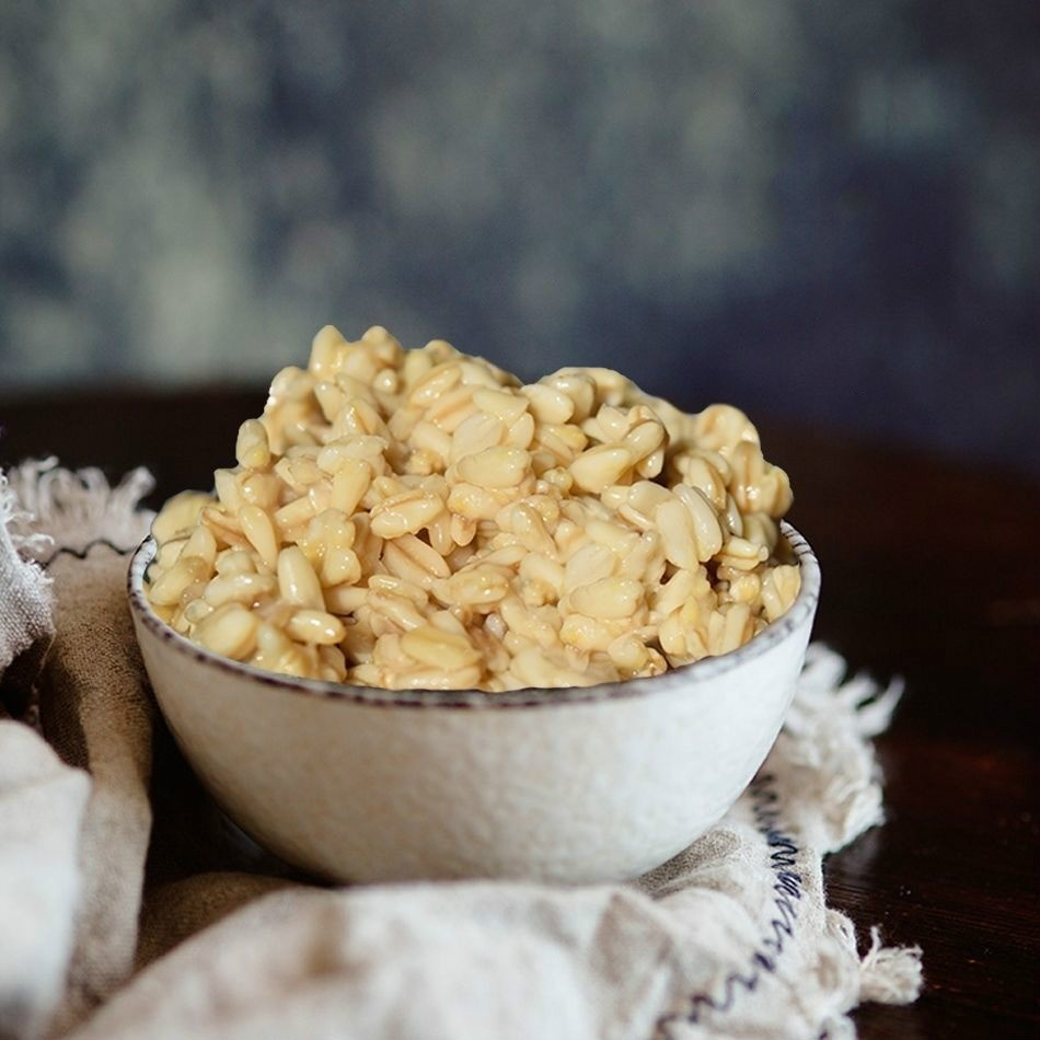 甜胚子甘肃兰州陇西特产醪糟董家醪糟胖老头500g莜麦陇西小吃五袋