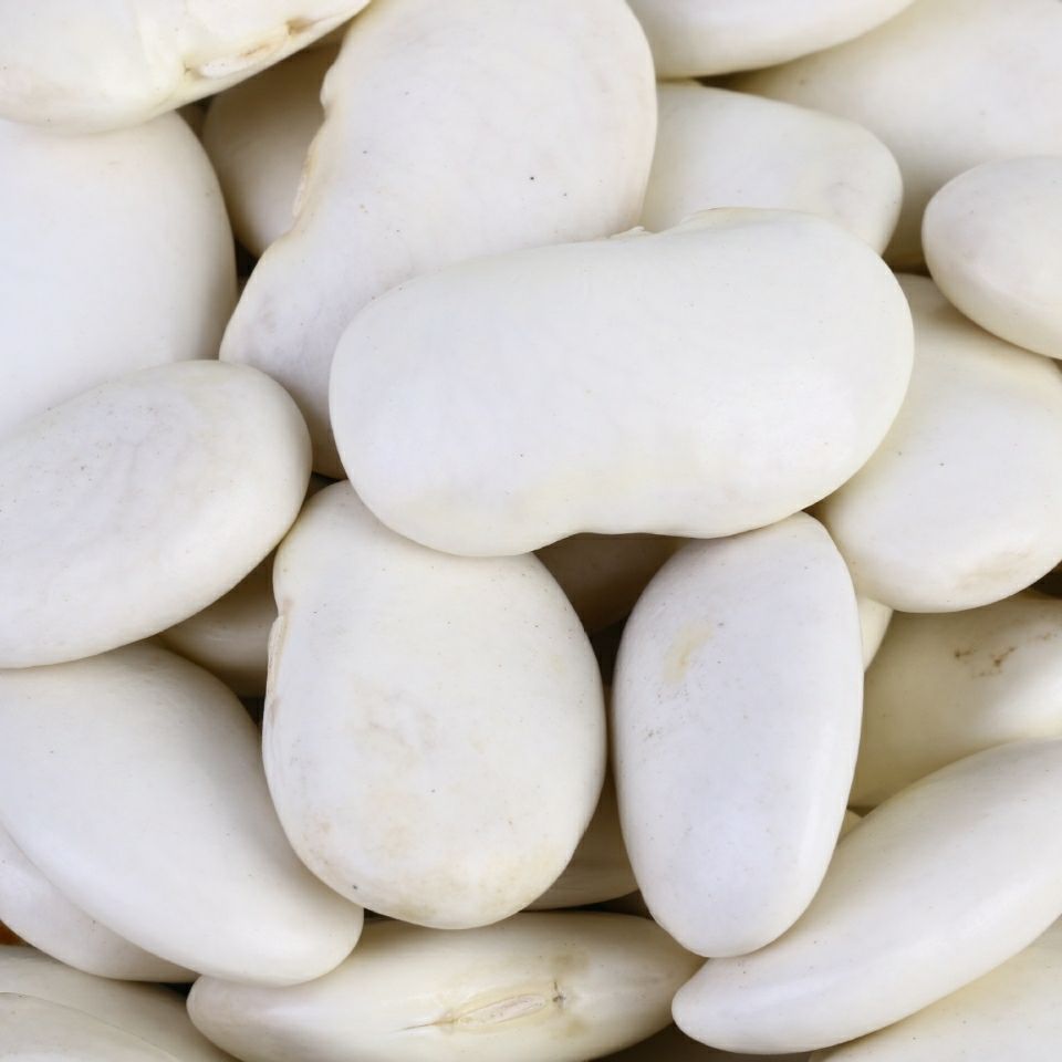 大白芸豆5斤1斤新货农家云南大白豆大雪豆云豆五谷杂粮豆类手选大白