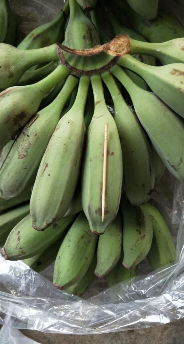采缇 广西大芭蕉 牛角蕉 牛蕉 新鲜采摘青蕉发货 3斤芭蕉【图片 价格