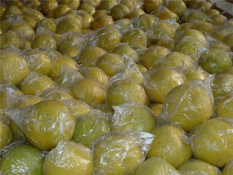 广西正宗阳朔沙田柚自家老树柚子纯甜20斤桂林本地土特产35年老树单果