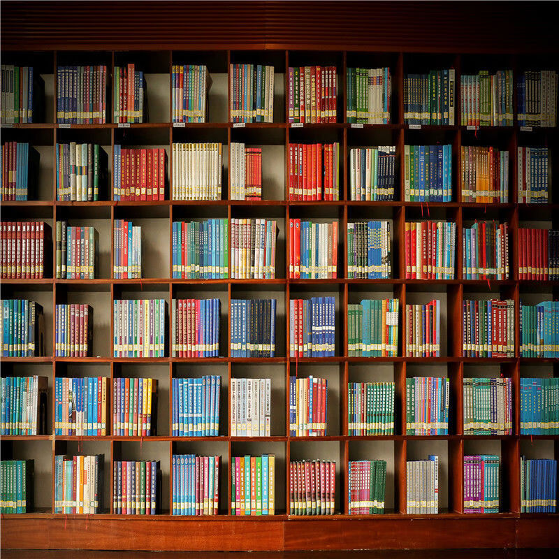 轻奢主播背景布书柜书架书房直播间背景墙网红快手抖音d立体背景布抖