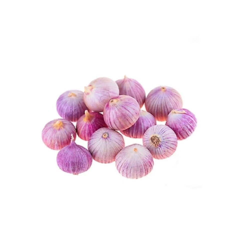 农家独头蒜种子红皮四季紫皮大蒜苗种籽种植蒜苔盆栽蔬菜种籽孑 1088