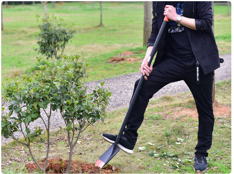 园林工具大全园艺铲子挖土铁铲锰钢铁锹农用种植铁锨全钢种花锹铲