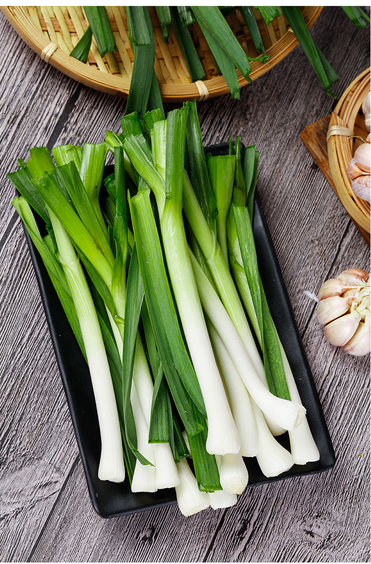 现挖新鲜蒜苗红皮大蒜苗农家自种当季蔬菜苔嫩青蒜苗5斤蒜苗