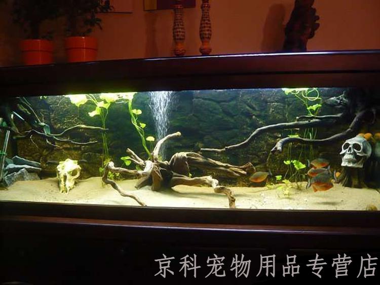 魚缸底砂造景底沙石頭白沙水族夜光石子擺件裝飾小彩石鋪底石 白色