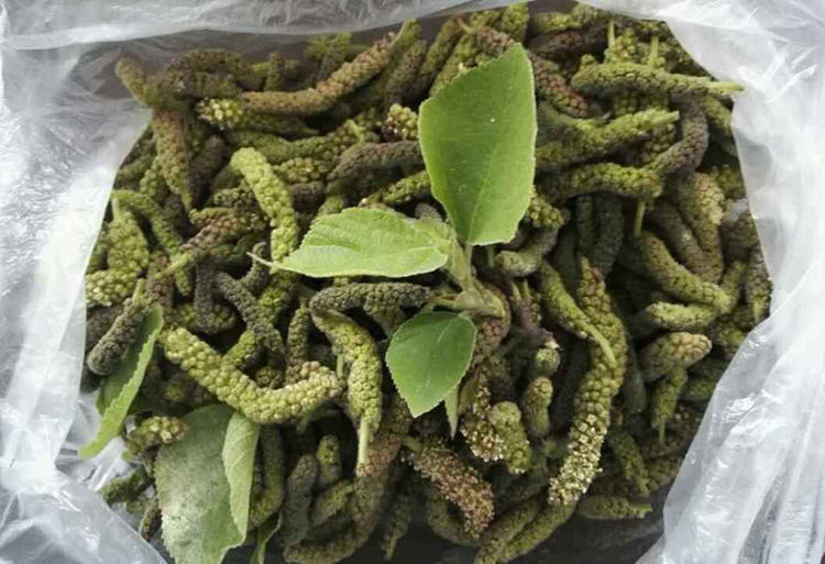 新鲜构蒲穗构树花新鲜时令野菜构普穗儿构棒槌儿构构菜吊构穗3斤构穗