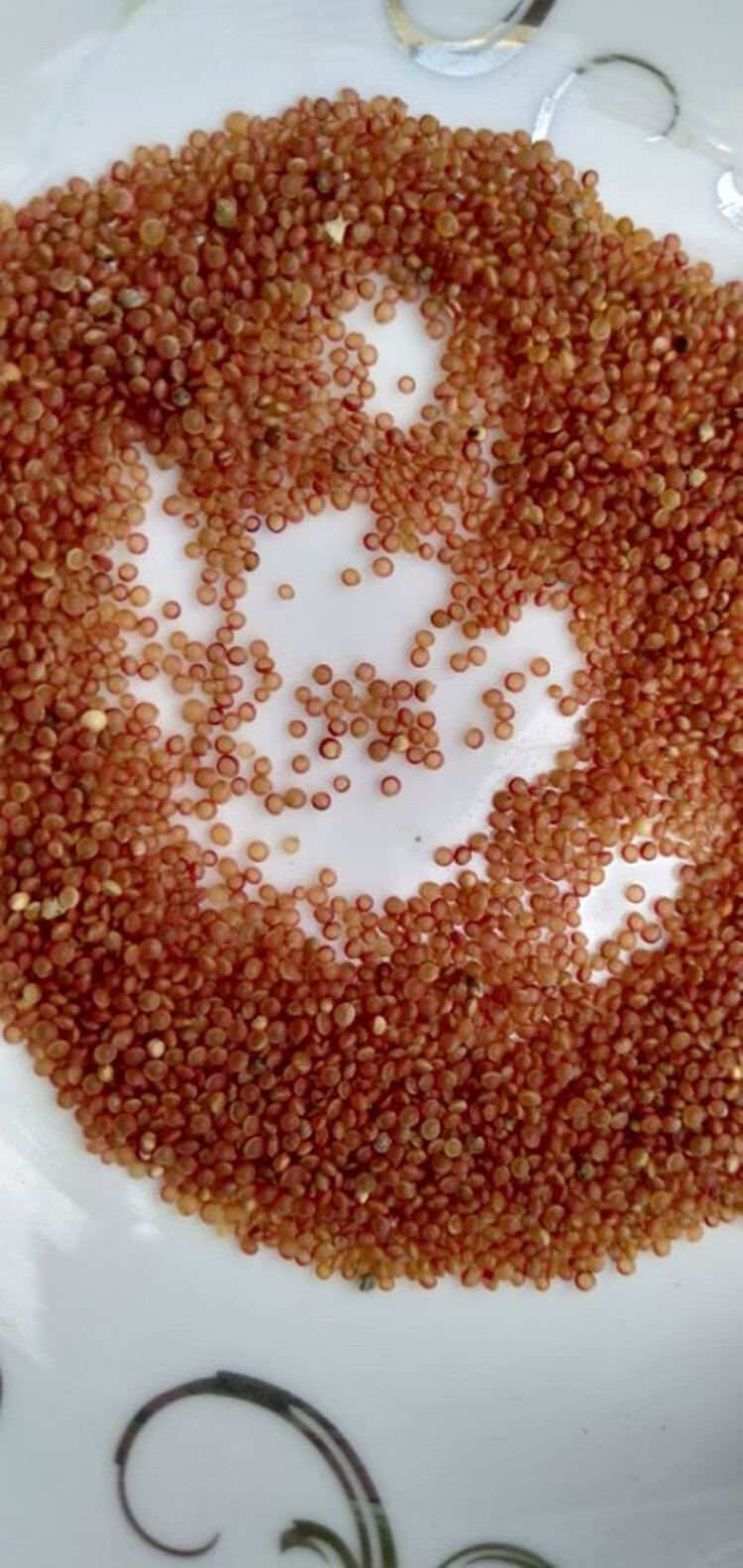 广西巴马红小米原生态红米五谷杂粮粗粮粥天然粮食2斤【图片 价格