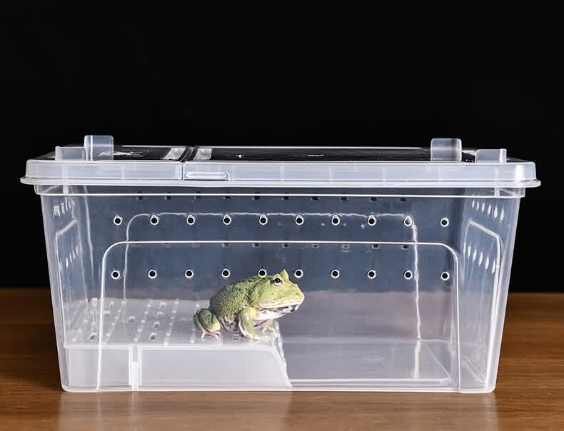 宠物蜗牛活物爬宠箱寄居蟹蜘蛛蝎子蜥蜴昆虫人渣盒 加大号饲养盒黑色