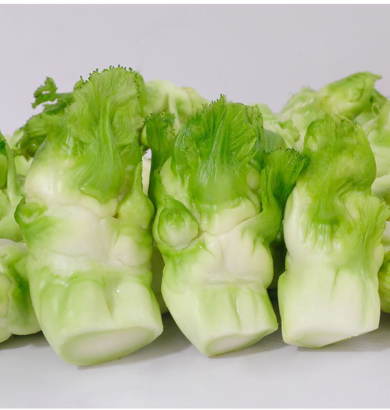 贵州特产儿菜新鲜蔬菜嫩儿仔绿色蔬菜龙家自种现摘娃娃菜泡菜新鲜食材