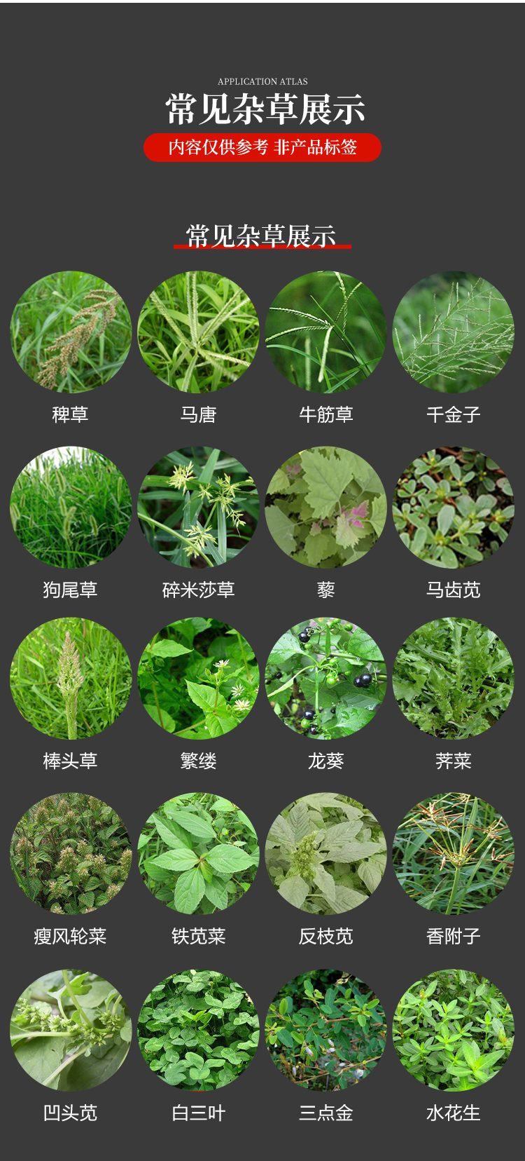 二甲戊灵国产施田补韭菜田棉花田封草药一年生杂草封闭