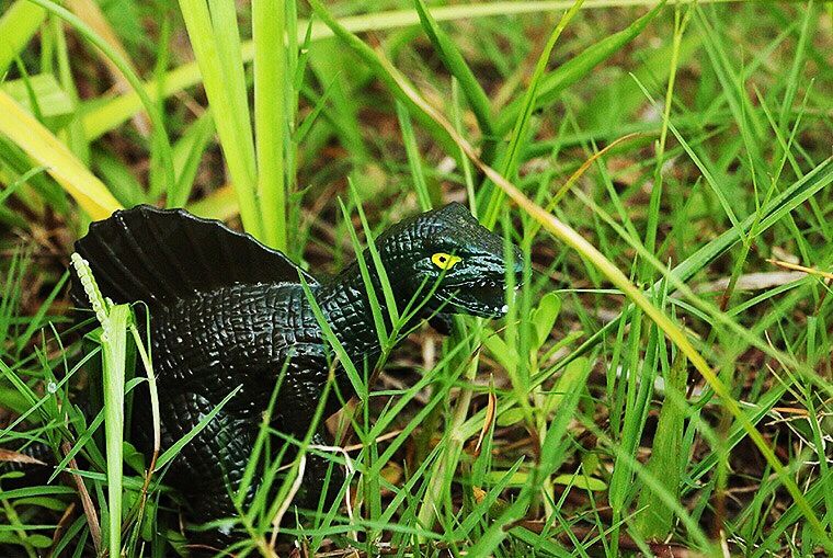 新款4d恐龙玩具塑料模型210岁儿童男孩女孩仿真动物金色古龙丛林毒龙