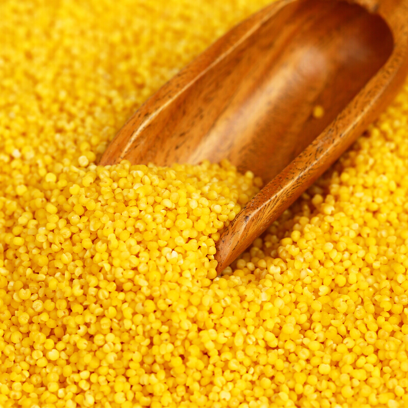 乐土黄小米新米内蒙古赤峰红谷小米月子米杂粮粗粮粥米25kg袋装