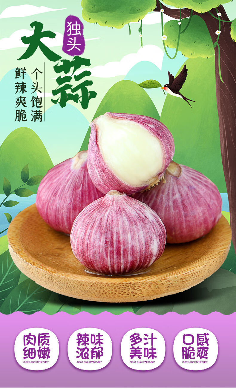 云南独头蒜紫皮大蒜头新鲜大蒜头蒜紫皮蔬菜腊八独蒜现挖独蒜大果2530