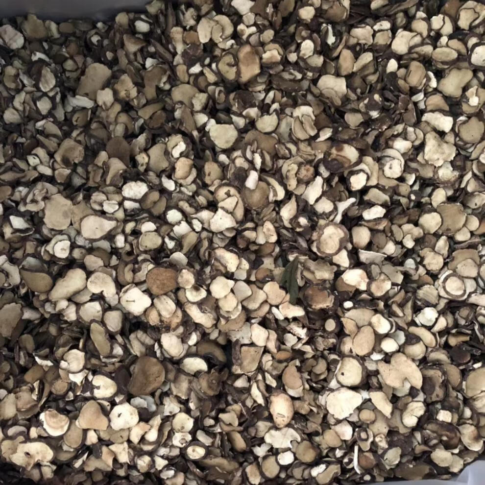 松菇干货福建特产闽南松蘑上菇菌菇新鲜尚菇无硫无碎松菇批发 500g