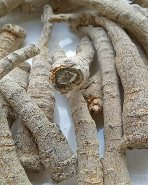 【特大三七根】云南文山三七根须水洗三七根 【特大三七根】500克