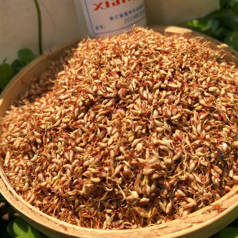 木莲籽木莲豆腐籽浙江诸暨特产木莲子薜荔冰粉籽250g爱玉子籽