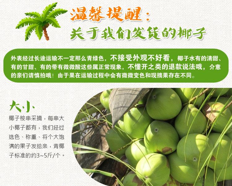 海南带皮大椰青八个装孕妇椰子现发青皮椰新鲜椰奶冻椰宝7个