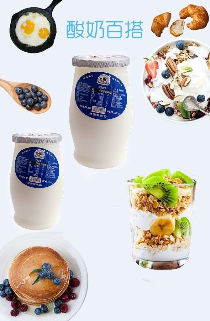 华明牧场酸奶180g10瓶原味酸奶传统工艺老北京风味凝固型酸奶原味酸奶