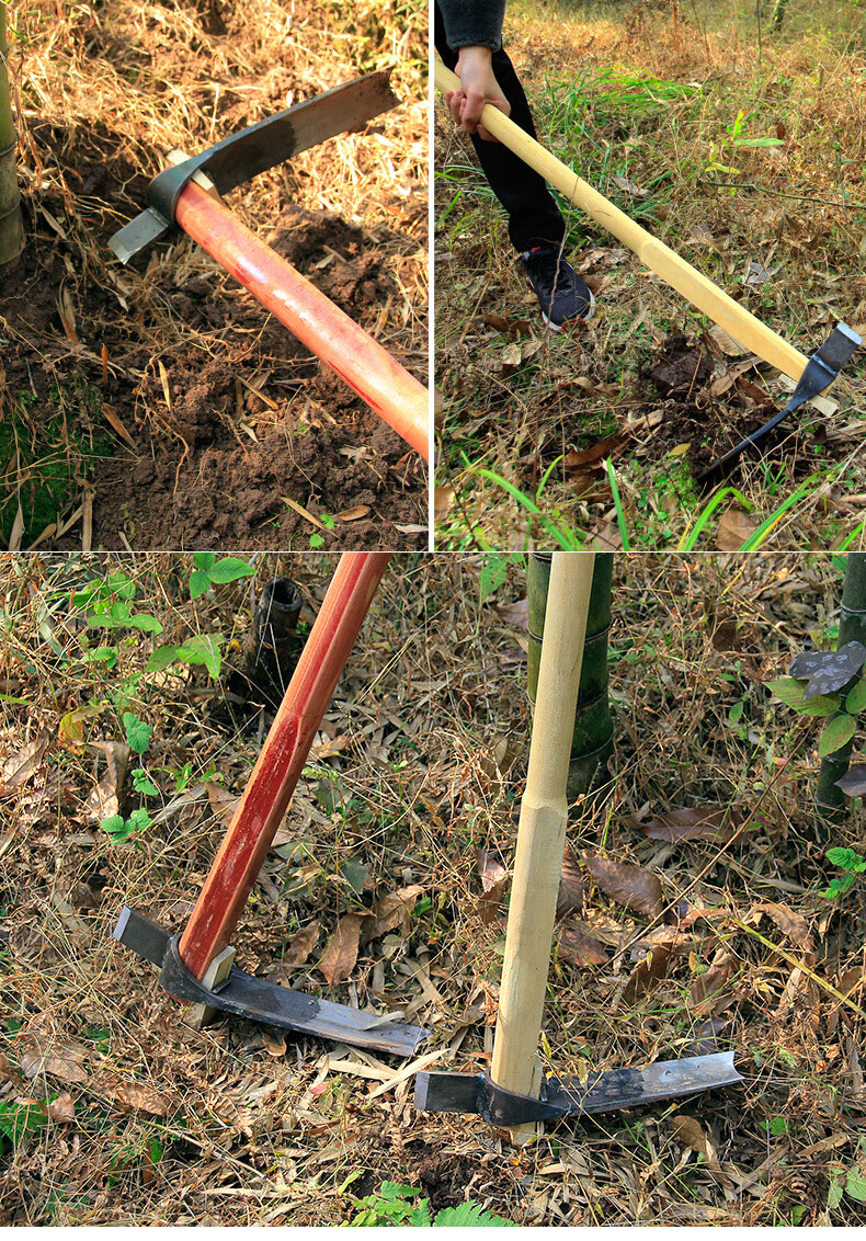 挖笋专用锄头锻打笋斧锄挖冬笋专用工具 弹簧钢探笋挖树根老式大锄头