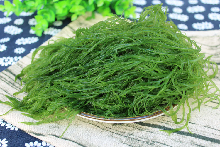 盐渍海草龙须菜5斤新鲜海菜海藻菜海草丝海石花菜凉拌菜裙带海带