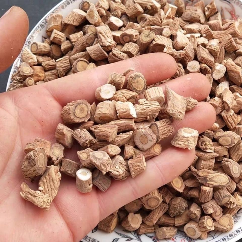 北京同仁堂中药材板蓝根茶大青根板蓝根块片切片泡茶喝新货无硫精品