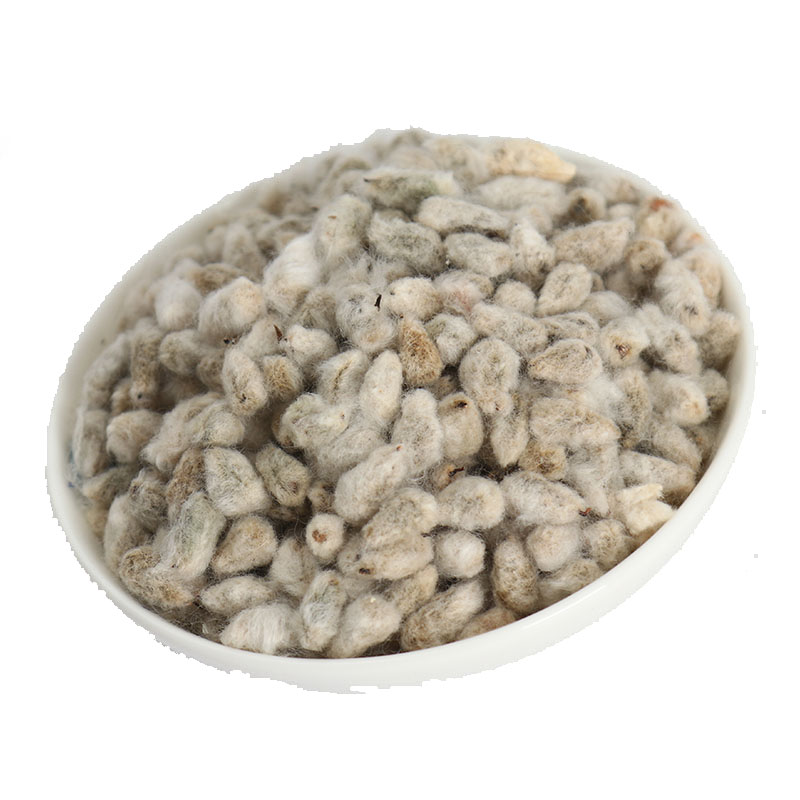 纳格兰左漫源棉花籽棉花仔棉花子籽棉花种籽去壳棉花种子可带籽的棉花