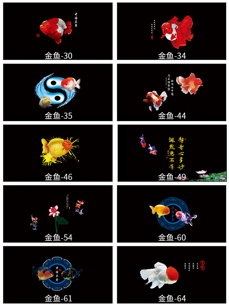 定制金鱼鱼缸背景纸兰寿泰狮鹅头红造景壁画3d效果立体60cmx40cm 60长