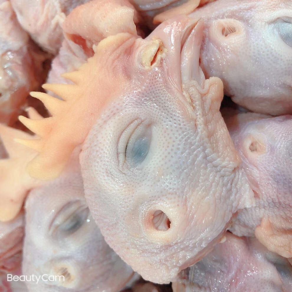 新鲜冷冻鸡头新鲜生鸡头鸡冠大小不保证顺丰直送