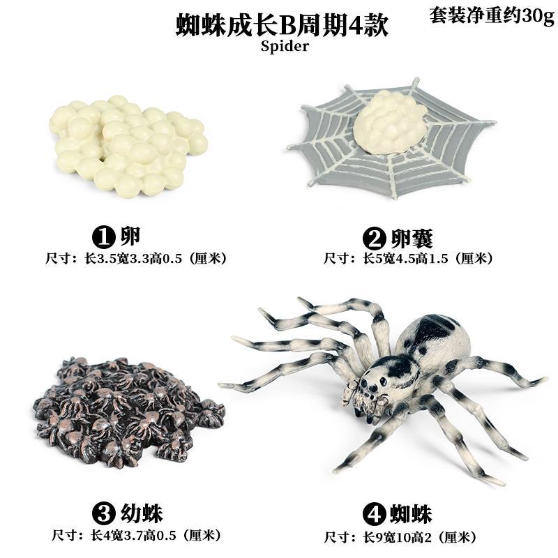 万圣节仿真蜘蛛玩具万圣节道具恐怖大黑蜘蛛模型儿童认知科普玩具礼物