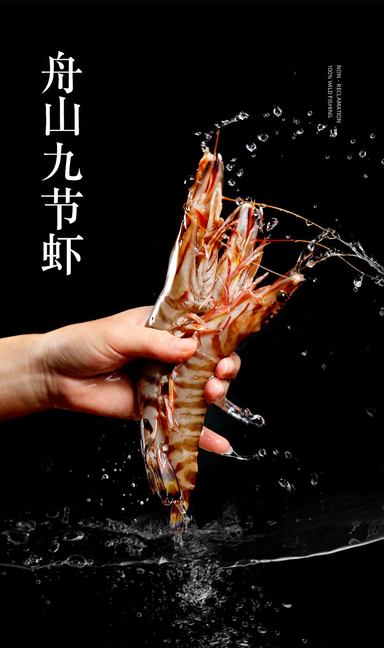 舟山海鲜九节虾基围虾大虾鲜活速冻 海虾斑节虾竹节虾黑虎虾鲜虾 500g