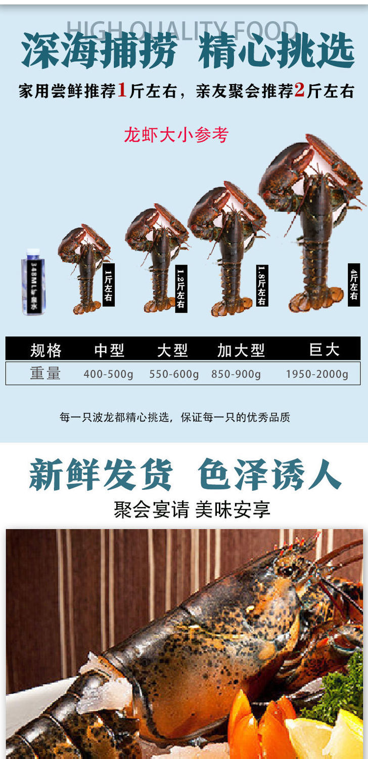 大龙虾鲜活速冻海鲜水产超大波龙奥龙 两只装 400-500g【图片 价格