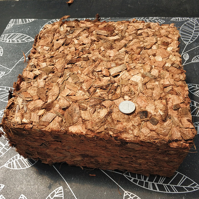 彼得曼粗椰壳砖椰砖,高通透性 500克/4公斤 小粒500克【图片 价格