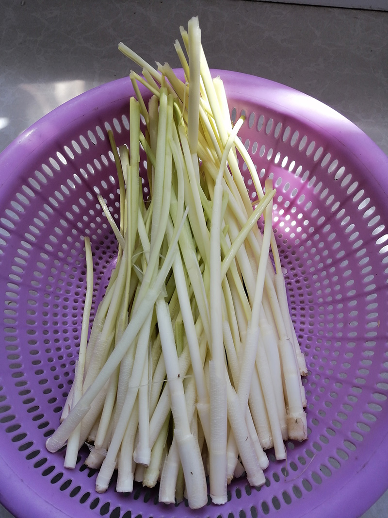 安徽篙头草野菜野生茭白蒿笋高头草高草蒲菜新鲜4斤当季团建送礼生鲜