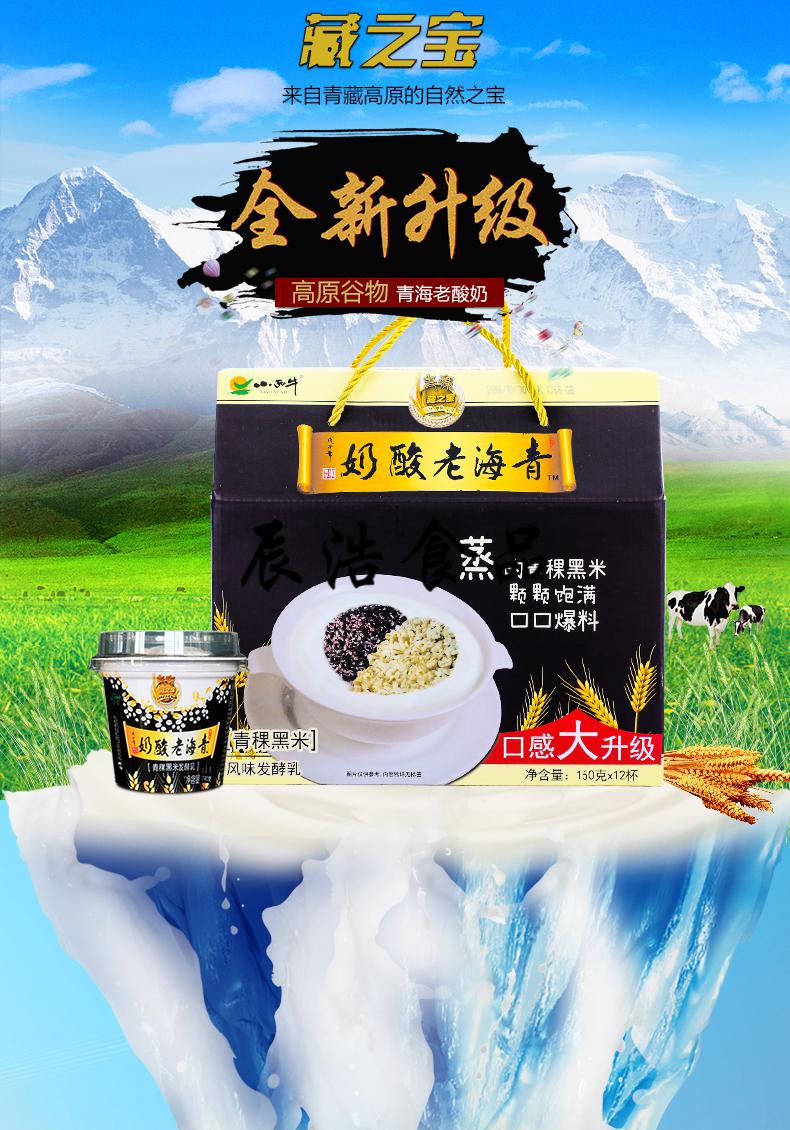 春光岛5折青海特产酸奶小西牛青稞黑米酸奶150g12杯藏之宝青稞老酸奶1