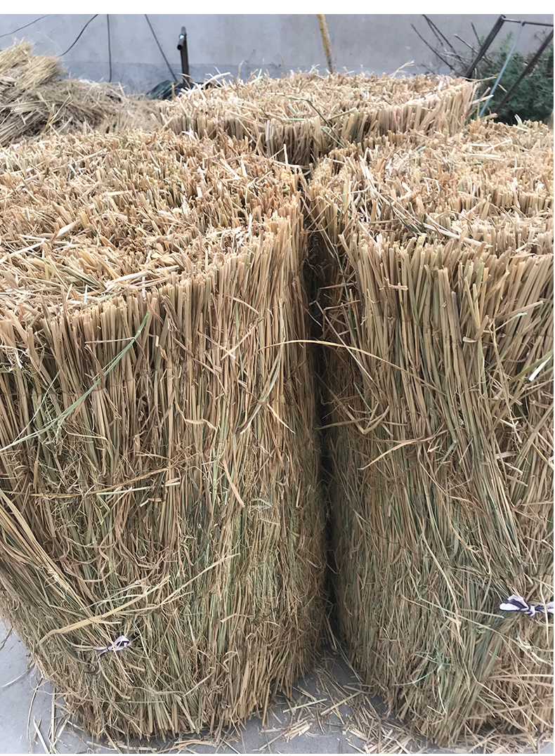 中梦 草帘子 稻草帘子大棚保温草帘草席草苫子稻草帘道路防滑草垫子