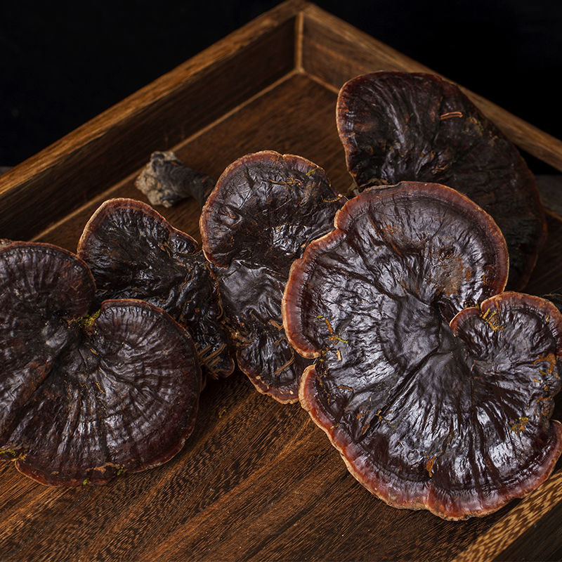 云南野生紫灵芝纯野生整枝黑灵芝泡水泡酒煲汤整朵整株灵芝 官方直营