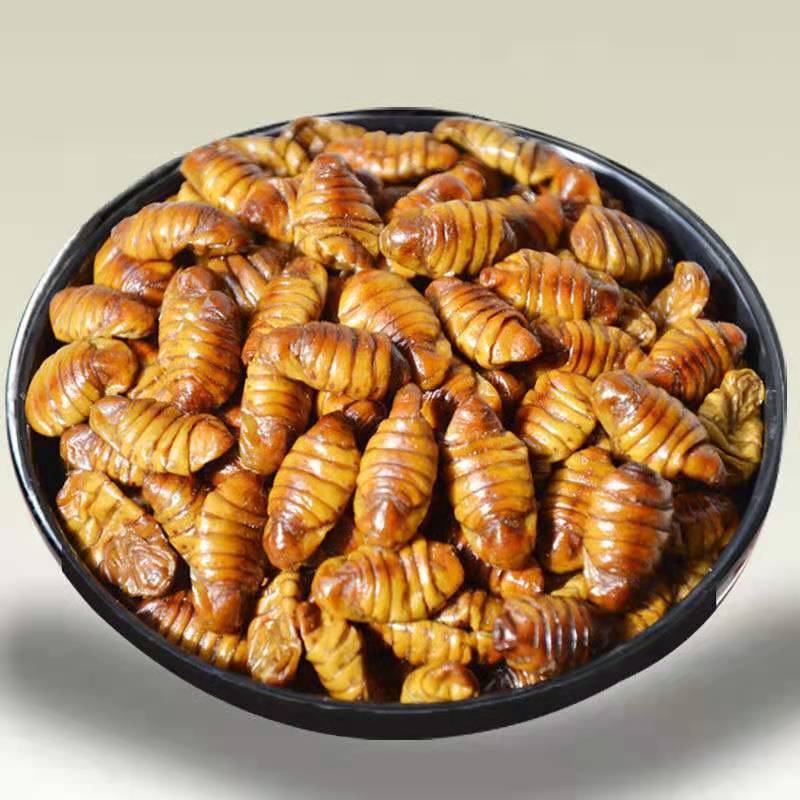 山东桑蚕蛹 500g【买2斤 1共3斤】新鲜蝉蛹活体速