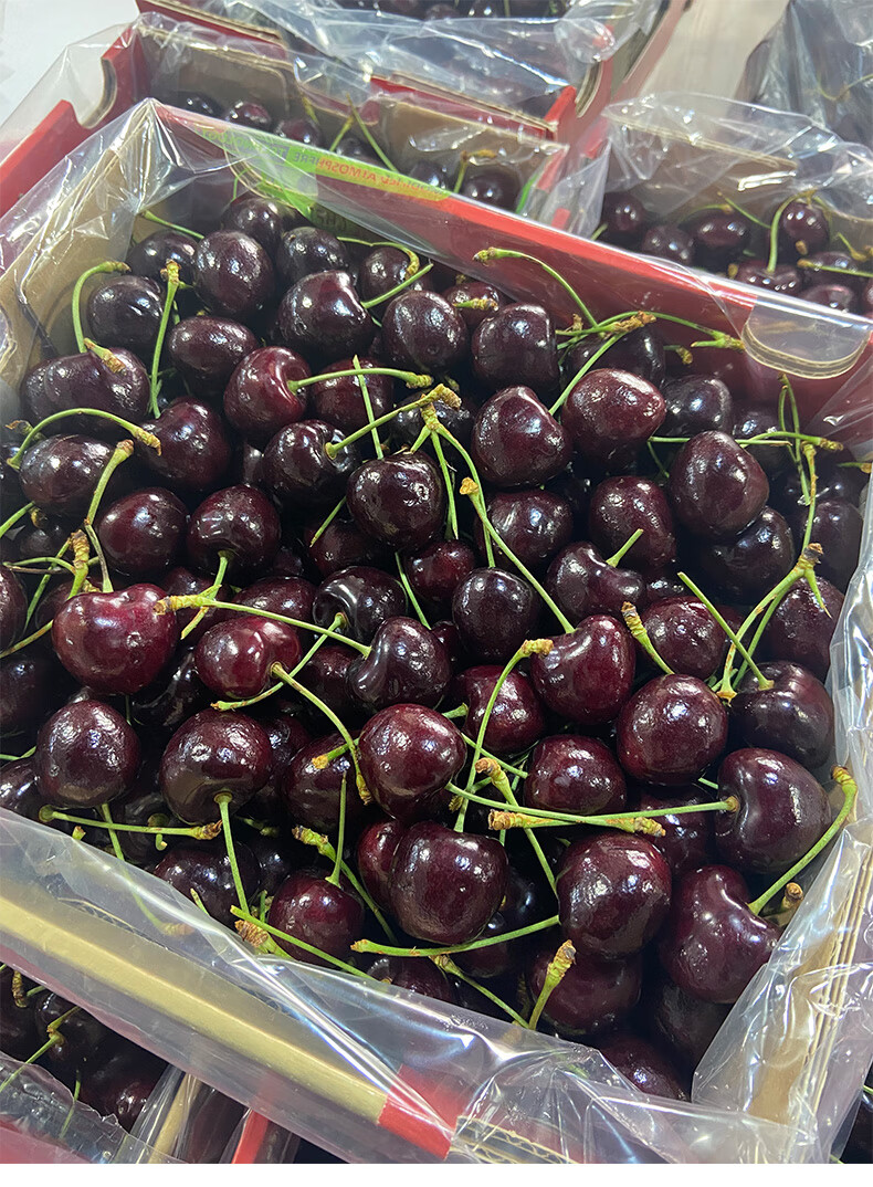 智利车厘子礼盒装大樱桃水果新鲜1盒精选xl级2426mm125g