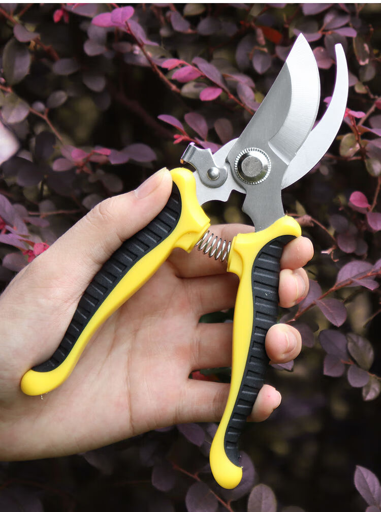 园艺剪刀修枝剪剪刀水果采摘剪刀摘果剪采果剪葡萄稀果蔬果剪v601强力