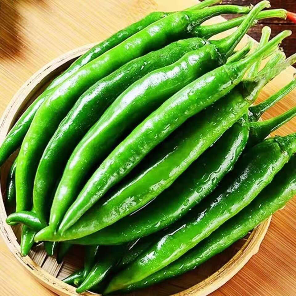 线椒新鲜青椒辣椒二荆条线椒农家自种生鲜蔬菜带箱十斤装xh
